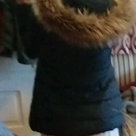Hollister Puffy Coat - Picture 6 of 6